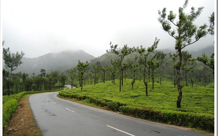 അതിരപ്പിള്ളി – മലക്കപ്പാറ റോഡിൽ നിർമ്മാണ പ്രവൃത്തികൾ: ഗതാഗതം നിരോധിച്ചു