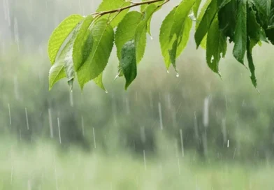 മേയ് 16-ഓടെ കാലവർഷം എത്താൻ സാധ്യതയെന്ന് കേന്ദ്ര കാലാവസ്ഥ വകുപ്പ്
