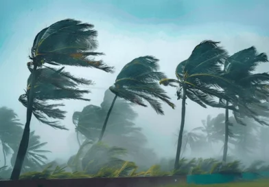 ശക്തമായ കാറ്റ് – ജാഗ്രത നിർദേശങ്ങൾ